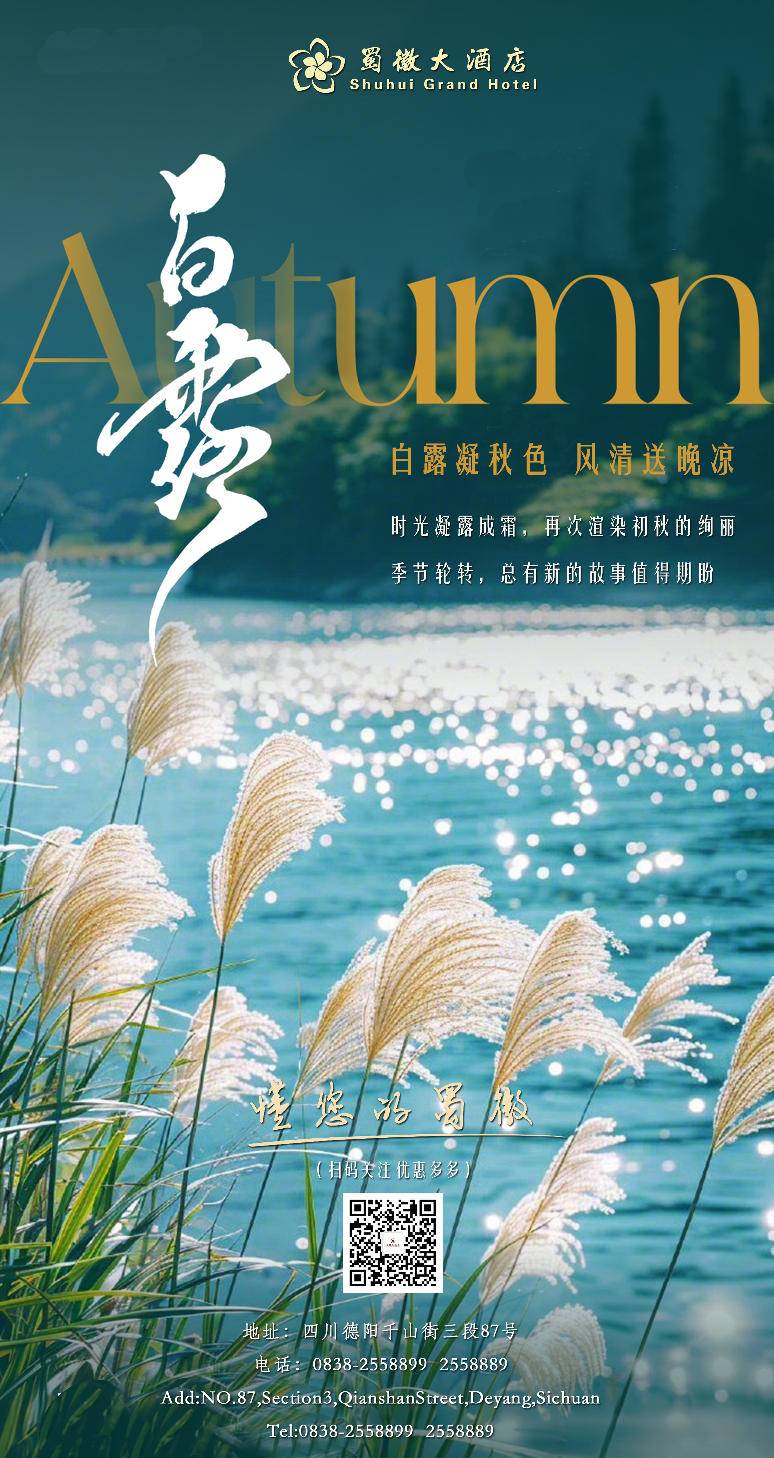白露海报.jpg